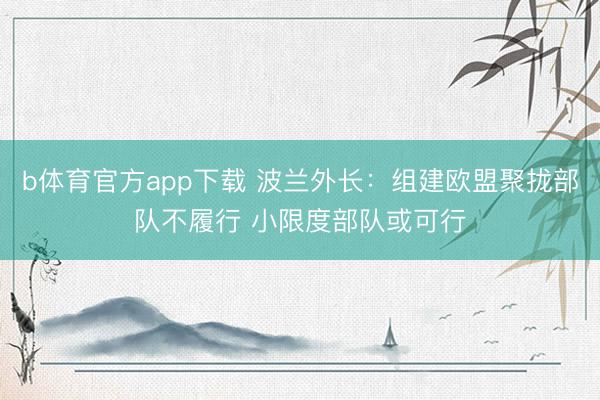 b体育官方app下载 波兰外长：组建欧盟聚拢部队不履行 小限度部队或可行