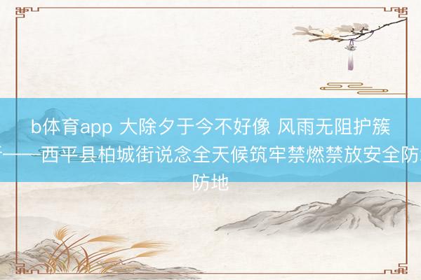 b体育app 大除夕于今不好像 风雨无阻护簇新——西平县柏城街说念全天候筑牢禁燃禁放安全防地