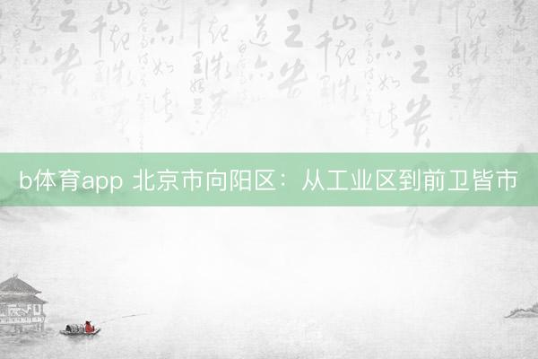 b体育app 北京市向阳区：从工业区到前卫皆市