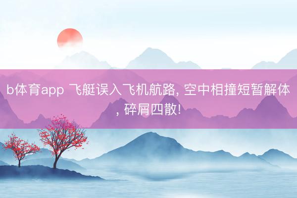 b体育app 飞艇误入飞机航路, 空中相撞短暂解体, 碎屑四散!